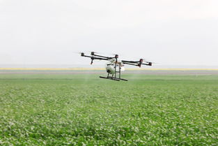 苏州高新区无人机助力贡山茶园