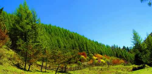 白水江保护局首次利用无人机开展森林巡护工作 