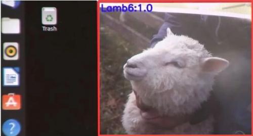 放羊去么？AI+无人机的那种 