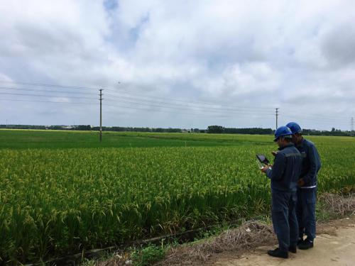 湛江吴川供电局无人机自动巡检试飞成功