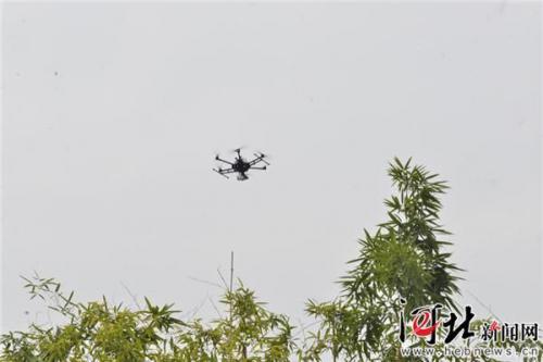 无人机助力生态环保 雄安联通打造5G智慧城市