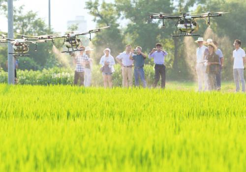 潜山市植保无人机防治水稻病虫害
