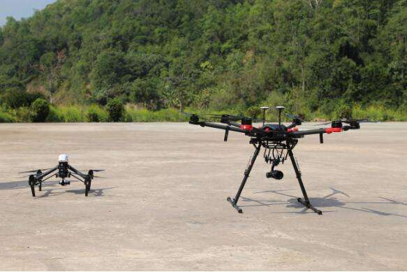 野生亚洲象闯入云南勐腊县城周边 已用无人机跟踪监测预警