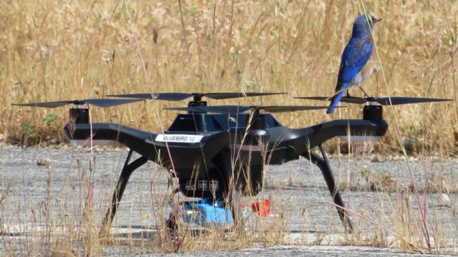 无人机集群在未来精准农业中的应用