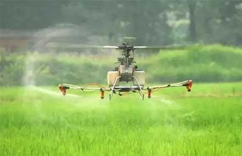 无人机飞防服务如日中天，飞防服务未来究竟能走多远？