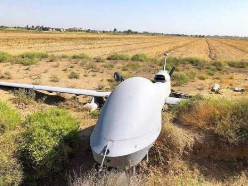 美媒称美MQ1C无人机在伊坠毁 可能遭电子干扰