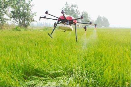 桐柏县黄岗镇：无人机喷洒农药 助农脱贫增收 