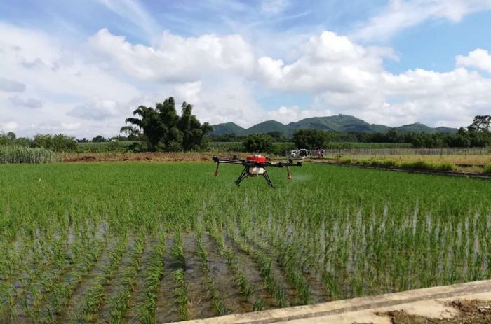 黑龙江省或将调集大型直升机和植保无人机“一喷多防”