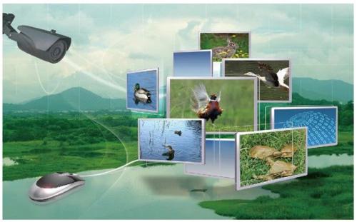 一文读懂智慧农业：行业机会、发展模式、场景应用、未来路线 