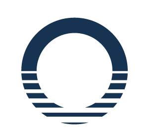 全城仰望：苏州龙湖大境天成无人机发布会，闪耀天际