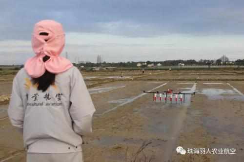 水稻精量直播无人机将成主流