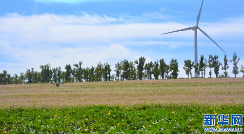 陕西靖边：无人机为山区农业插上腾飞翅膀