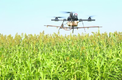 安徽日报农村版：无人机“飞天”喷药施肥