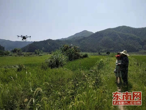 无人机防治水稻病虫害!小山村也用它