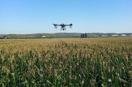 每天1万余人参战 40余架次无人机出动 我市全面打响“虫口夺粮”攻坚战