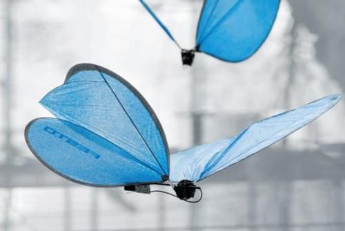 未来这种无人机上市后，连蝴蝶蚊子都是眼线，人类将没有秘密可言