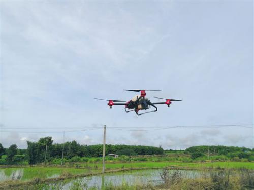 海垦引入科技力量 利用无人机防治病虫害
