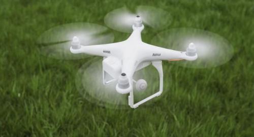 无人机也可以物理杀虫？日本这波操作稳了