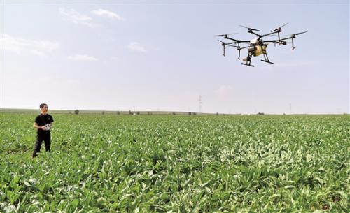 无人机农田显“神威”