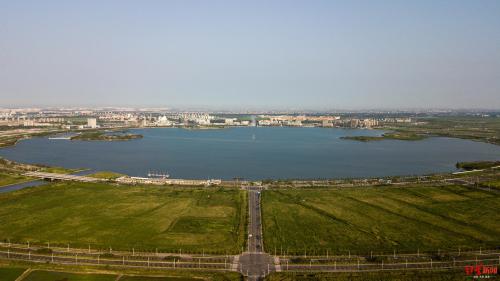 临港的“智能化”：无人机纳入应急响应，实现5分钟出勤圈