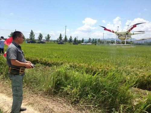 无人机打农药暴利！有人40天赚15万元