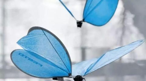 这种无人机上市后将没有秘密可言，连蝴蝶蚊子都是眼线