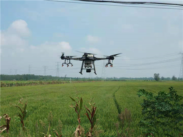 盱眙县河桥镇植保无人机水稻病虫害防治显身手 