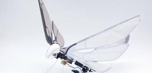 激光切割技术现身仿生无人机