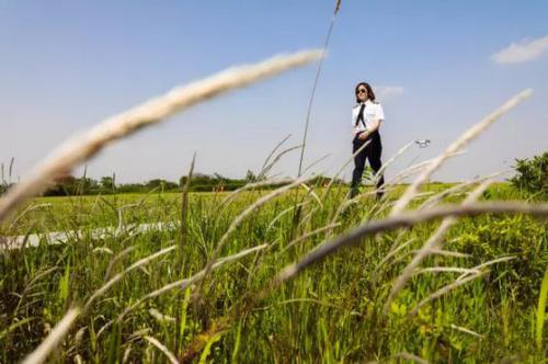 无人机美女机长25岁达到年薪40万