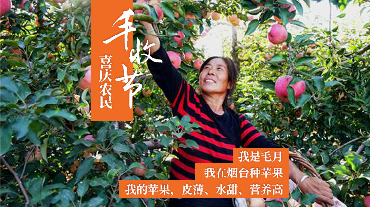 中国农民丰收节活动开始啦！