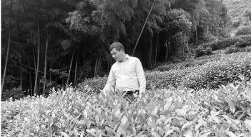 宋广雄：无人机喷洒省时省力病虫害少了一半多