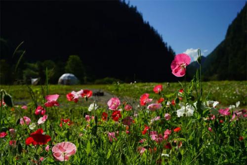 达古冰川航空摄影嘉年华首场旅拍活动重磅开启！