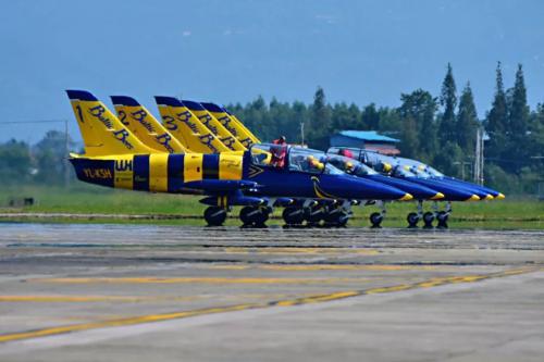 6只3.5吨重的"蜜蜂"飞行7千多公里回到广汉 想喝蜂蜜的人把机场占领了