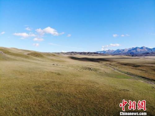 甘肃构生态环境遥感监测体系 无人机等新技术投用祁连山