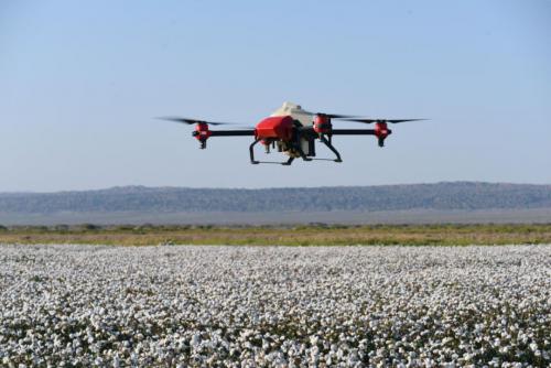 极飞科技秋收起“翼”：近3000架极飞植保无人机奔赴新疆