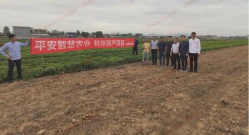 平安产险河南分公司：“无人机+卫星”遥感技术助推农险科技转型