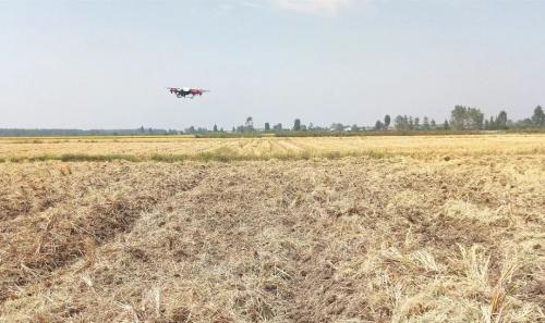 无人机播种！天门种地都这么高科技了？7亩地不到10分钟…… 