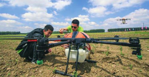 辽宁东港市无人机防控水稻病虫害技术推广 