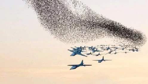 “蜂群”制胜！无人机未来战场战力几何？