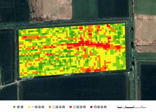 数据为轴，技术为轮，麦飞开启数字农业新格局