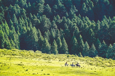 手机？相机？无人机？大咖教你拍出美照 