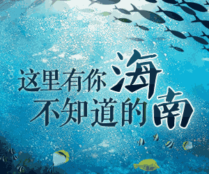 助力打造时尚亚沙会 400架无人机闪耀三亚夜空