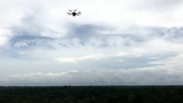 拍大片也能搞科研：哈佛团队使用无人机研究亚马逊雨林