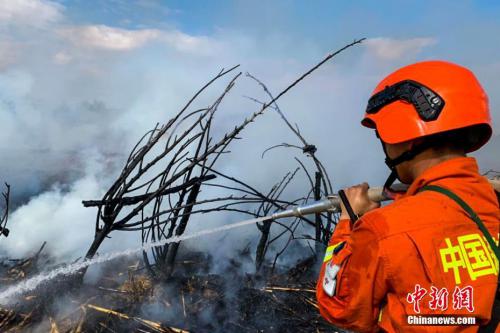 新疆伊犁森林灭火演练 无人机精准投弹灭火直击