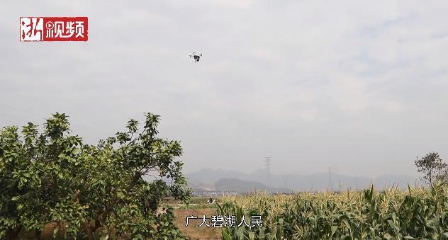 丽水运用无人机助力大气治理 快看！“空中巡警”来了