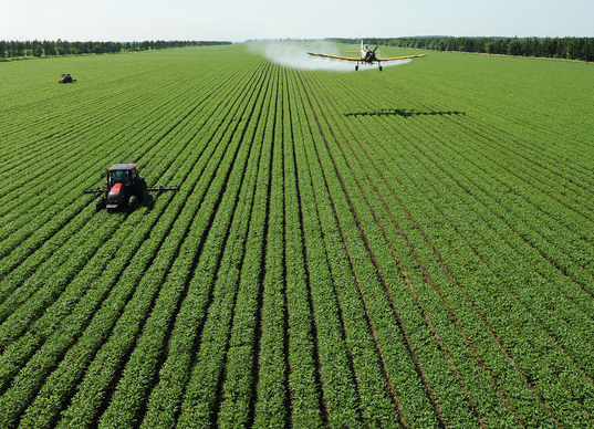 宁波海关首次利用无人机技术开展苗木隔离检疫监管