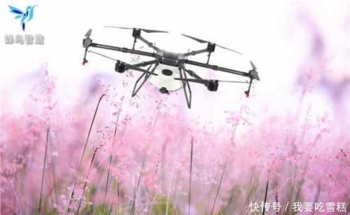 植保无人机进展观察及价值展现、植保无人机行业标准和农药使用
