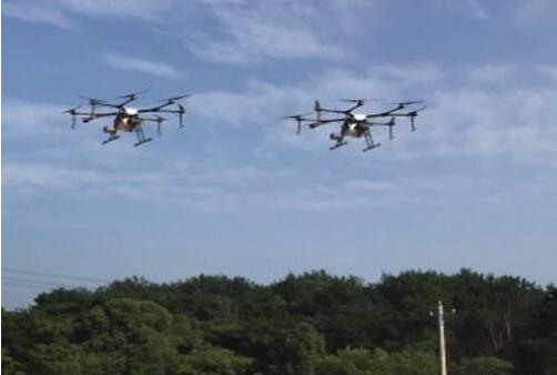 沙县林业局开展无人机喷洒细菌液新技术防治松材线虫病效果调查