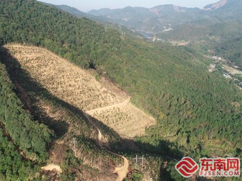 延平供电公司：无人机验收 筑牢森林防火墙