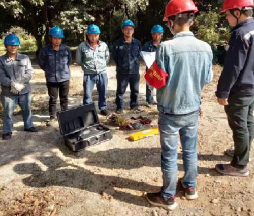 惠城供电无人机巡视提高巡检效率与质量